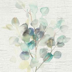 Eucalyptus Iii - Fine Art