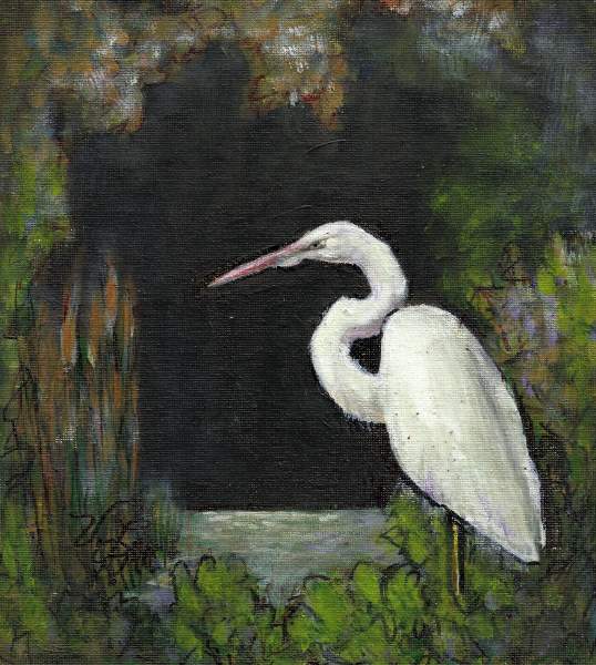 Wading Birds---Paintings